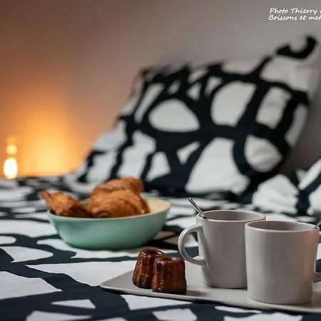 Le Bel Ami Proche Pontaillac, 3 Pers, Proximite Centre, Plage, Commerce Appartement Royan